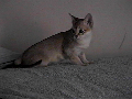 Winifred
